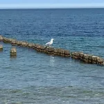Mare Balticum Urlaub Auf Rügen Sagard