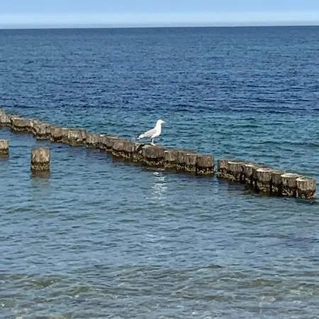 Mare Balticum Urlaub Auf Ruegen Sagard