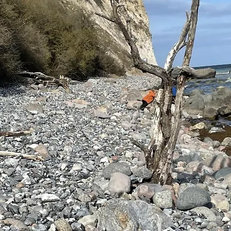 Mare Balticum Urlaub Auf Ruegen Aparthotel Sagard