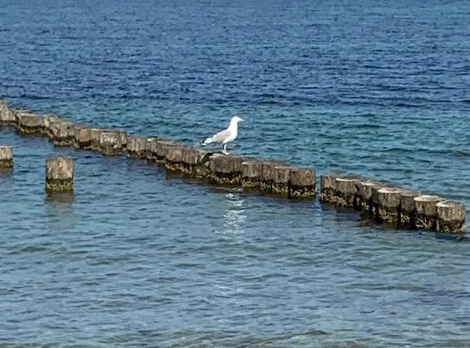 Mare Balticum Urlaub Auf Ruegen サガルト
